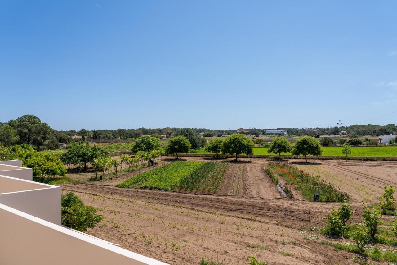 Apartamentos Marcelino - Formentera Break إس بويولس المظهر الخارجي الصورة