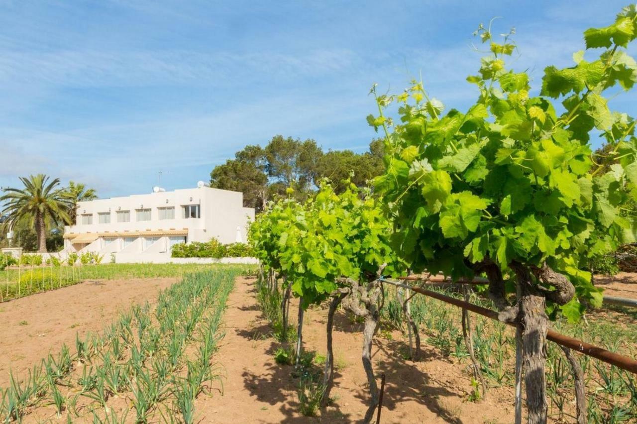 Apartamentos Marcelino - Formentera Break إس بويولس المظهر الخارجي الصورة